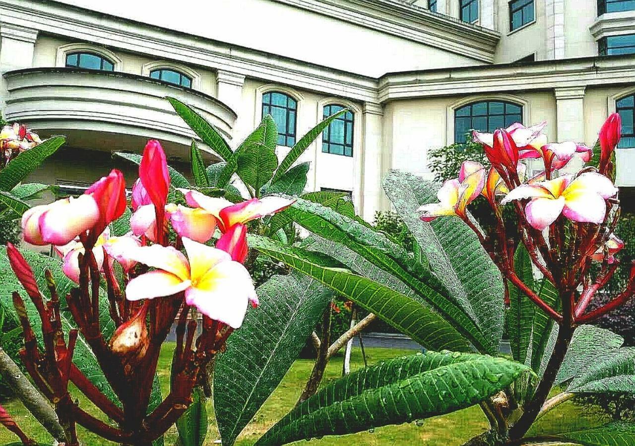 Ln Dongfang Hotel, Szehuj Kültér fotó